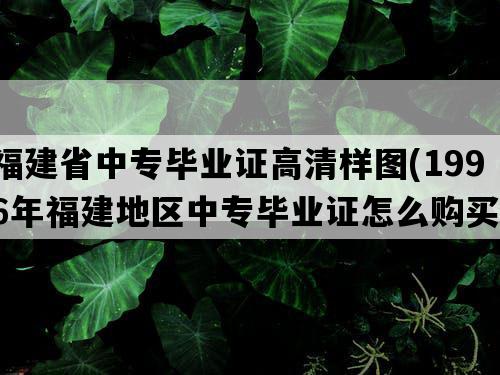 福建省中专毕业证高清样图(1996年福建地区中专毕业证怎么购买）