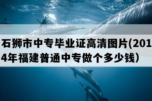 石狮市中专毕业证高清图片(2014年福建普通中专做个多少钱）