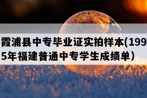 霞浦县中专毕业证实拍样本(1995年福建普通中专学生成绩单）