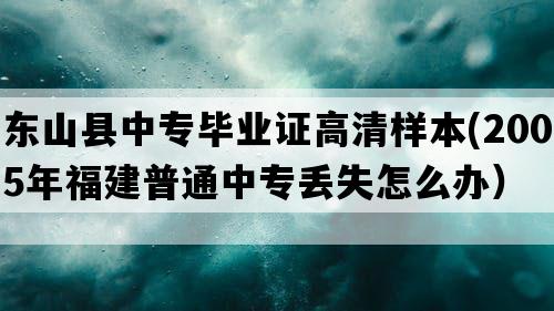 东山县中专毕业证高清样本(2005年福建普通中专丢失怎么办）