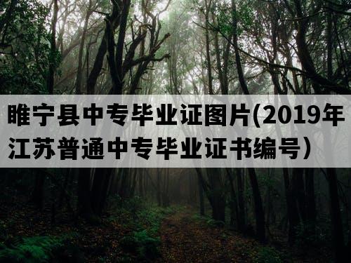 睢宁县中专毕业证图片(2019年江苏普通中专毕业证书编号）