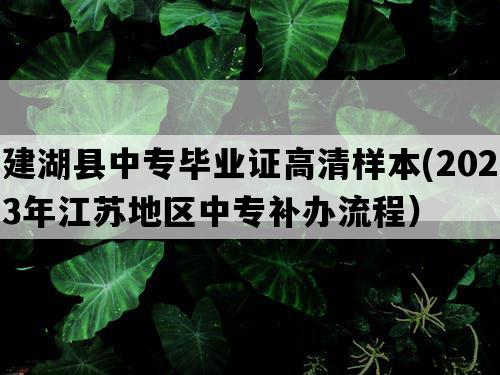 建湖县中专毕业证高清样本(2023年江苏地区中专补办流程）