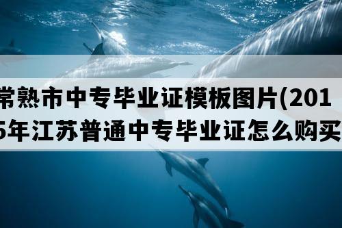 常熟市中专毕业证模板图片(2015年江苏普通中专毕业证怎么购买）