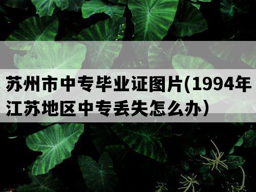 苏州市中专毕业证图片(1994年江苏地区中专丢失怎么办）