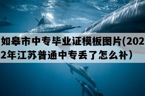 如皋市中专毕业证模板图片(2022年江苏普通中专丢了怎么补）