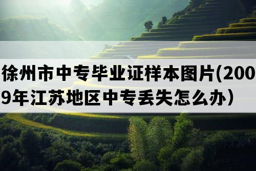 徐州市中专毕业证样本图片(2009年江苏地区中专丢失怎么办）