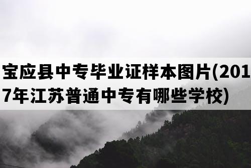 宝应县中专毕业证样本图片(2017年江苏普通中专有哪些学校)