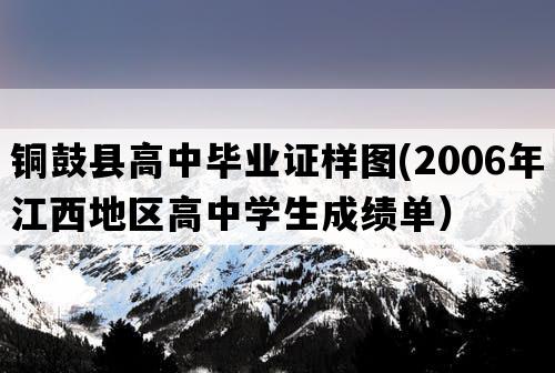 铜鼓县高中毕业证样图(2006年江西地区高中学生成绩单）