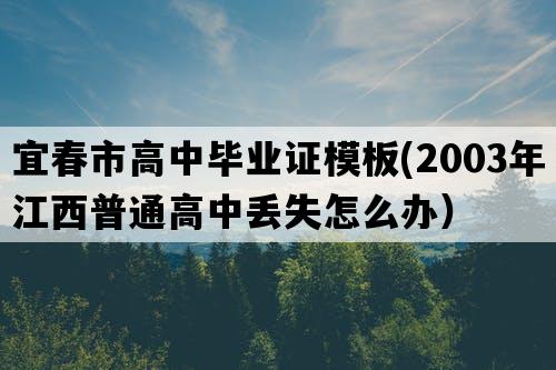 宜春市高中毕业证模板(2003年江西普通高中丢失怎么办）