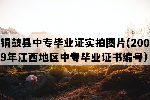 铜鼓县中专毕业证实拍图片(2009年江西地区中专毕业证书编号）