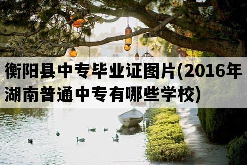 衡阳县中专毕业证图片(2016年湖南普通中专有哪些学校)