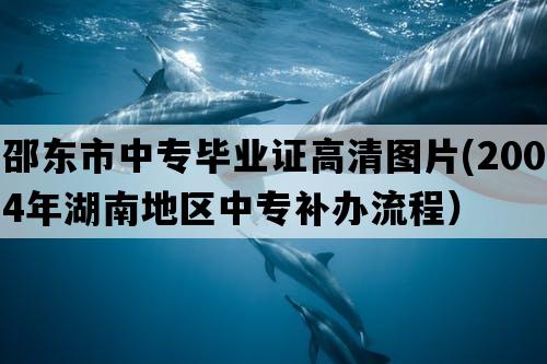 邵东市中专毕业证高清图片(2004年湖南地区中专补办流程）