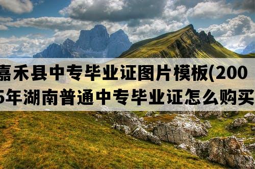 嘉禾县中专毕业证图片模板(2005年湖南普通中专毕业证怎么购买）