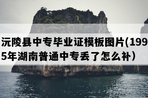 沅陵县中专毕业证模板图片(1995年湖南普通中专丢了怎么补）