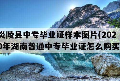 炎陵县中专毕业证样本图片(2020年湖南普通中专毕业证怎么购买）