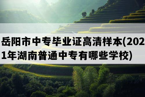 岳阳市中专毕业证高清样本(2021年湖南普通中专有哪些学校)