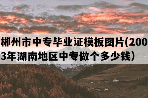 郴州市中专毕业证模板图片(2003年湖南地区中专做个多少钱）