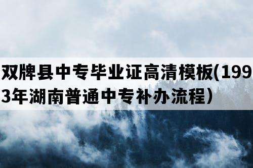 双牌县中专毕业证高清模板(1993年湖南普通中专补办流程）