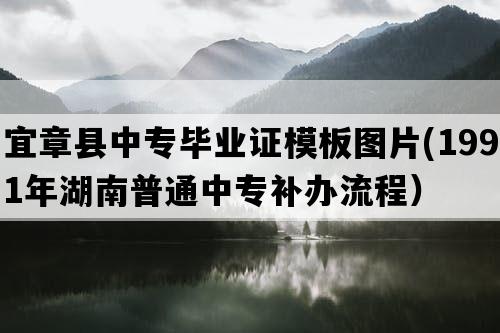 宜章县中专毕业证模板图片(1991年湖南普通中专补办流程）