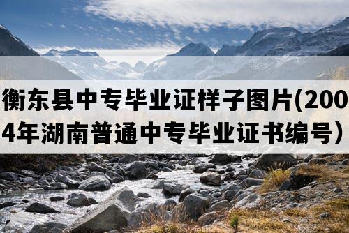 衡东县中专毕业证样子图片(2004年湖南普通中专毕业证书编号）