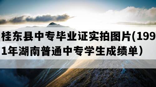 桂东县中专毕业证实拍图片(1991年湖南普通中专学生成绩单）