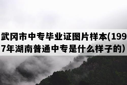 武冈市中专毕业证图片样本(1997年湖南普通中专是什么样子的）