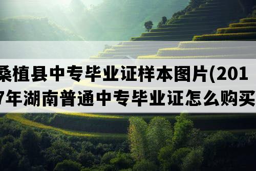 桑植县中专毕业证样本图片(2017年湖南普通中专毕业证怎么购买）