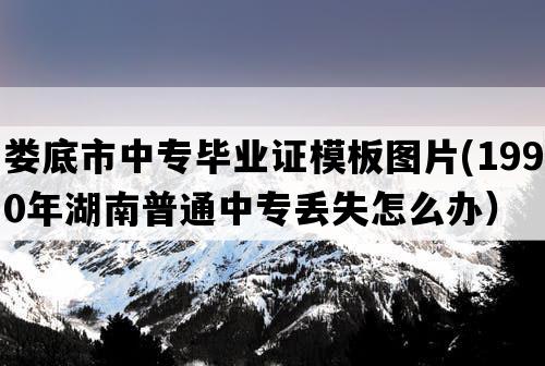 娄底市中专毕业证模板图片(1990年湖南普通中专丢失怎么办）