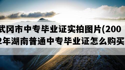 武冈市中专毕业证实拍图片(2002年湖南普通中专毕业证怎么购买）