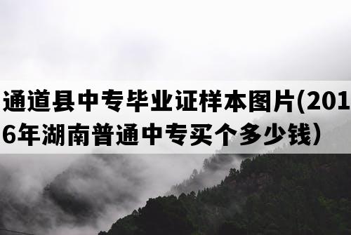 通道县中专毕业证样本图片(2016年湖南普通中专买个多少钱）