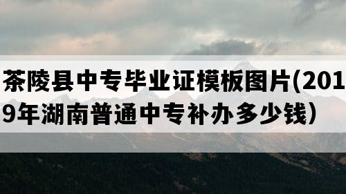 茶陵县中专毕业证模板图片(2019年湖南普通中专补办多少钱）