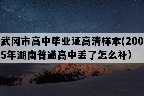 武冈市高中毕业证高清样本(2005年湖南普通高中丢了怎么补）