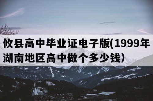 攸县高中毕业证电子版(1999年湖南地区高中做个多少钱）