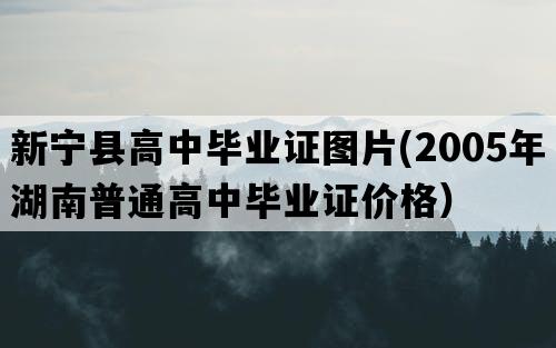 新宁县高中毕业证图片(2005年湖南普通高中毕业证价格）