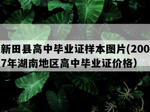 新田县高中毕业证样本图片(2007年湖南地区高中毕业证价格）