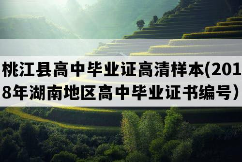 桃江县高中毕业证高清样本(2018年湖南地区高中毕业证书编号）