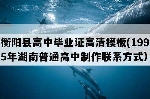 衡阳县高中毕业证高清模板(1995年湖南普通高中制作联系方式）