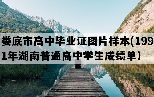 娄底市高中毕业证图片样本(1991年湖南普通高中学生成绩单）