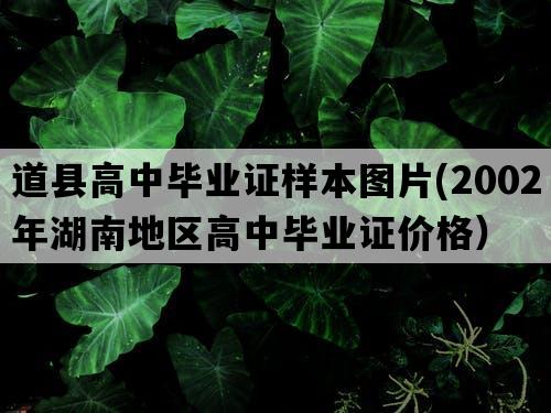 道县高中毕业证样本图片(2002年湖南地区高中毕业证价格）