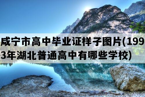 咸宁市高中毕业证样子图片(1993年湖北普通高中有哪些学校)