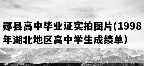 郧县高中毕业证实拍图片(1998年湖北地区高中学生成绩单）