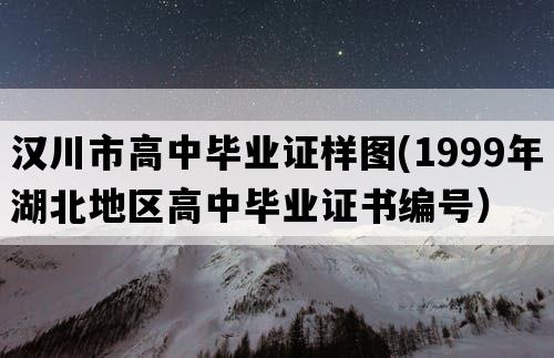 汉川市高中毕业证样图(1999年湖北地区高中毕业证书编号）