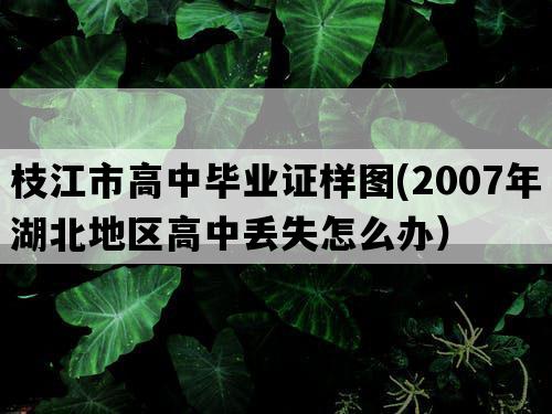 枝江市高中毕业证样图(2007年湖北地区高中丢失怎么办）