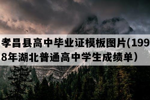 孝昌县高中毕业证模板图片(1998年湖北普通高中学生成绩单）