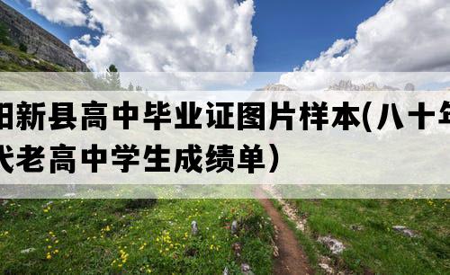 阳新县高中毕业证图片样本(八十年代老高中学生成绩单）