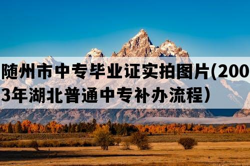 随州市中专毕业证实拍图片(2003年湖北普通中专补办流程）