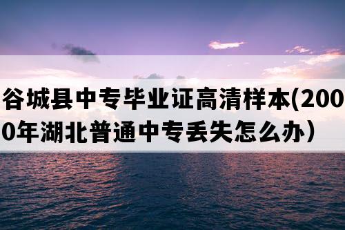 谷城县中专毕业证高清样本(2000年湖北普通中专丢失怎么办）