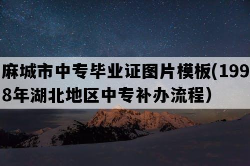 麻城市中专毕业证图片模板(1998年湖北地区中专补办流程）