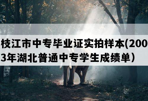 枝江市中专毕业证实拍样本(2003年湖北普通中专学生成绩单）