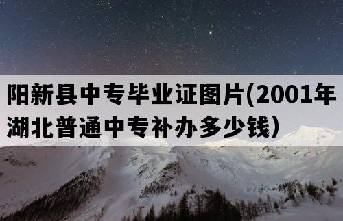 阳新县中专毕业证图片(2001年湖北普通中专补办多少钱）